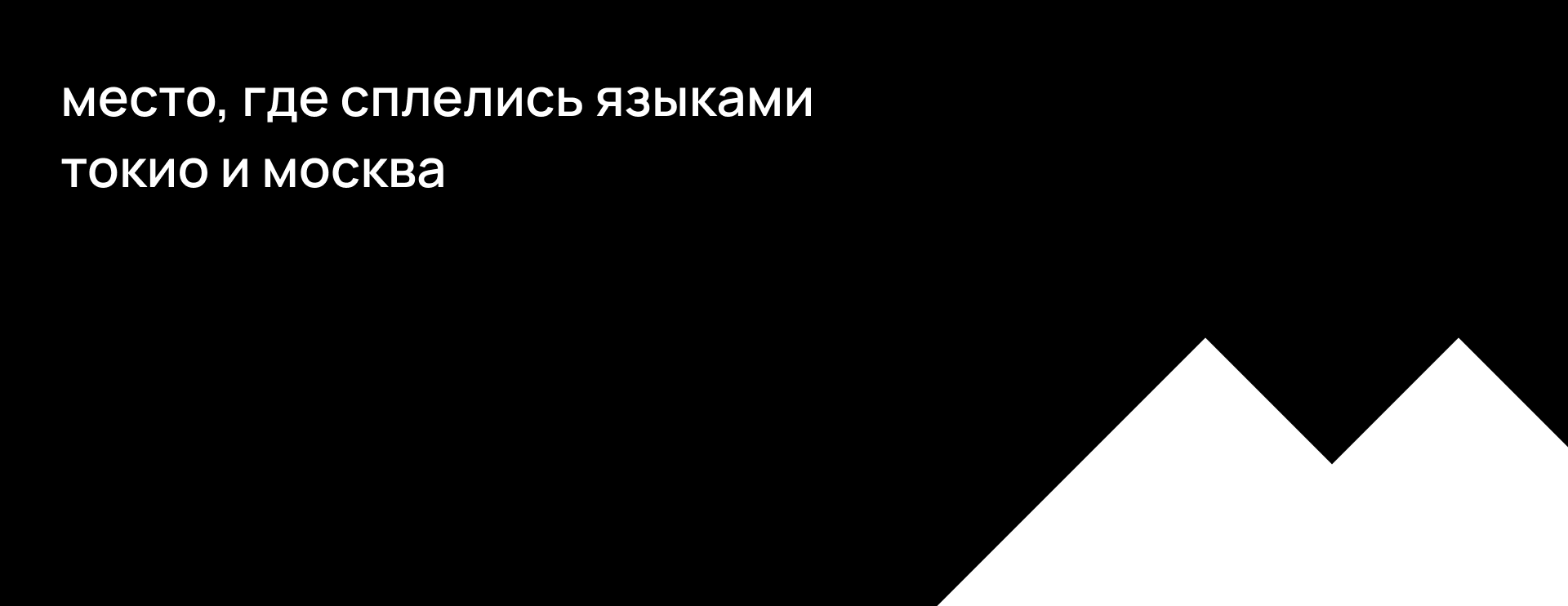 шиндзюку: слоган